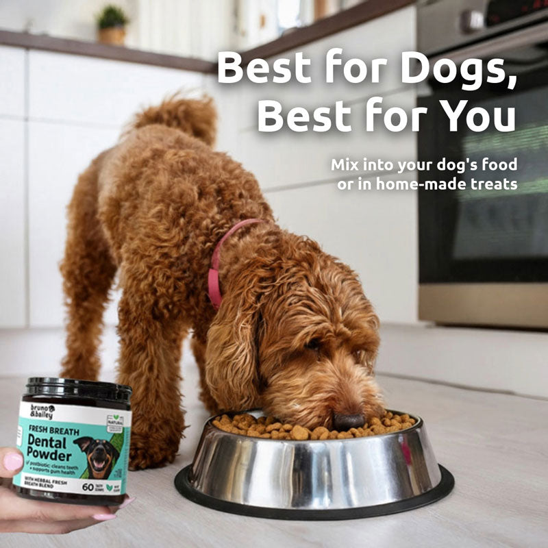 Fresh Breath Dental Powder for Dogs (60 scoops)