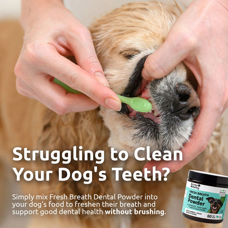 Fresh Breath Dental Powder for Dogs (60 scoops)