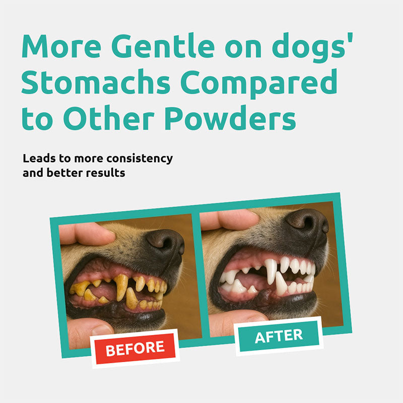 Fresh Breath Dental Powder for Dogs (60 scoops)